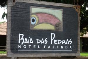 Op safari in de Pantanal