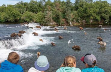 Brooks Falls ©Court_Whelan