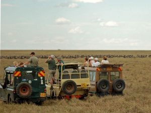 Safari Migration