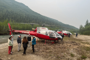 reis Alaska, Beren reis Alaska, Wildlife Alaska, safari alaska, Brooks Falls reis