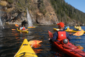 reis Alaska, Beren reis Alaska, Wildlife Alaska, safari alaska, Brooks Falls reis