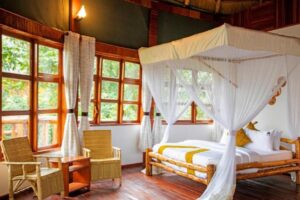 Kibale tourist safari lodge room