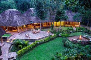 Primate Safari Lodge