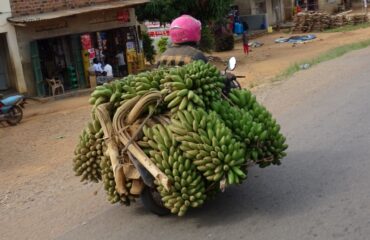 Uganda naar de markt ©All for Nature Travel
