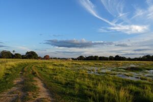 Op safari in de Pantanal