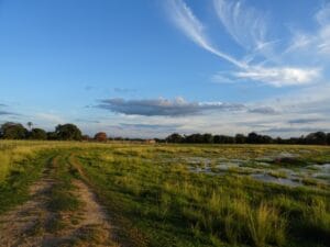 Op safari in de Pantanal