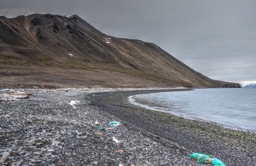 beach cleanup before