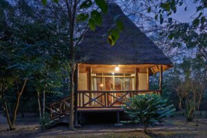 ishasha jungle lodge cottage
