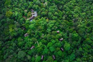 primate lodge in the middle of Kibale forest
