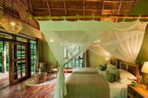 primate lodge kamer