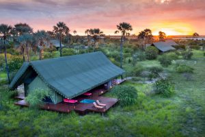 Exclusieve safari Makgadikgadi Pans