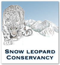 Snow-Leopard-Conservancy