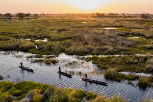 Mokoro safari Okavango Delta