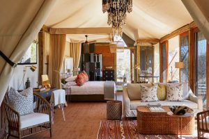 luxe kamer op safari