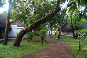 cottages van Marari Beach