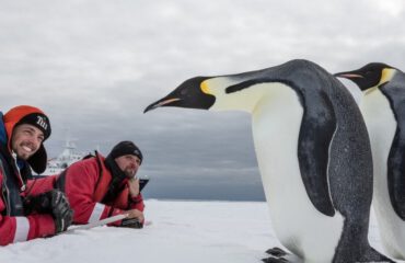 Keizerspinguins Ross Sea ©Rolf Stange