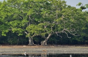 landschap Sri Lanka ©Martin van Lokven