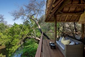 safari lodge Madikwe