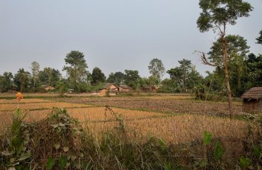 Rural village life Bardia ©HenkBothof