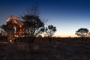 skybed Okavango Delta