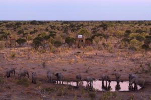 sky bed safari