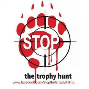 Stop the trophy hunt