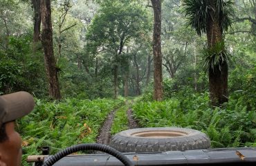 Chitwan Gamedrive ©HenkBothof