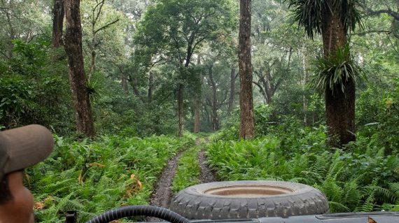 Chitwan Gamedrive ©HenkBothof