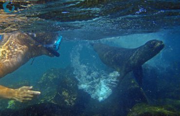 Galápagos