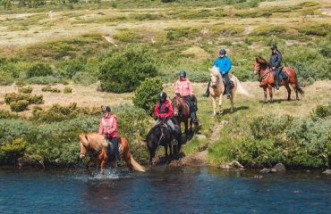 Paardrijden vanaf hotel Hjerkinn Fjellstue og Fjellridning