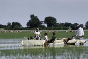 Mombo Camp, safari Okavango Delta
