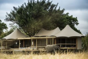 Duurzame lodge Moremi Game Reserve