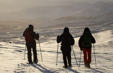 op muskusossafari op sneeuwschoenen