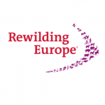 Rewilding Europe