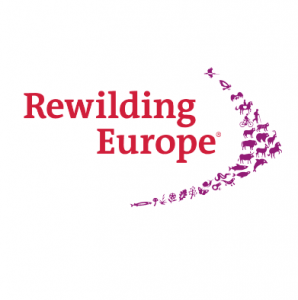 Rewilding Europe