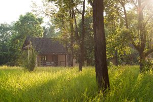 Tiger Tops Tharu Lodge, reis Nepal