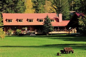 lodge beren, lodge British Colombia