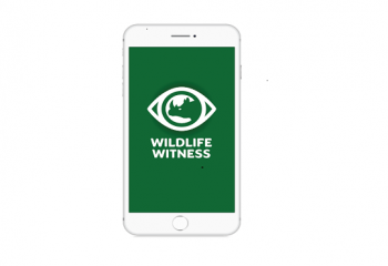 wildife witness app_breed