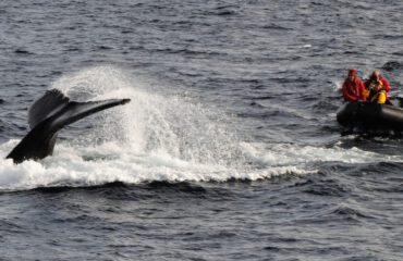 zodiac cruising Antarctica ©Jamie Scherbeijn