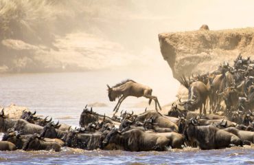 Wildebeest Crossing Basecamp