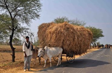 Onderweg naar Tadoba NP ©Allf or Nature Travel