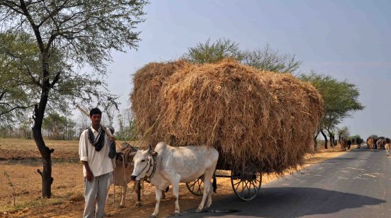 Onderweg naar Tadoba NP ©Allf or Nature Travel