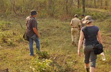 wandelsafari in Tadoba Andhari Tiger Reserve