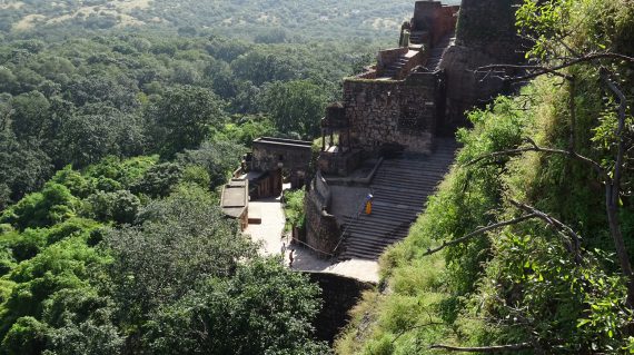 Ranthambore Fort in het groene seizoen ©All for Nature