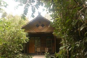 Rimba, Ecolodge Rimba, Tanjung Puting, Borneo