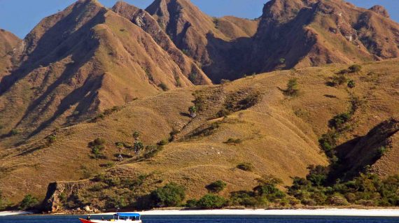 Komodo Island