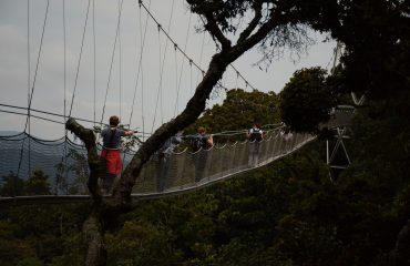 Nyungwe Forest All for Nature Travel