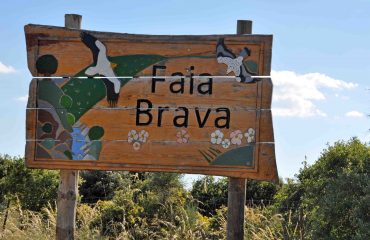 Faia Brava