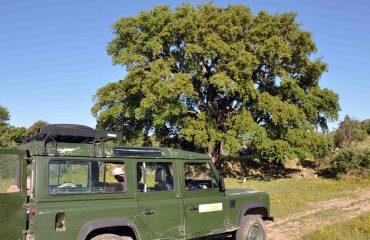 Excursie Faia Brava