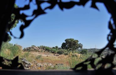 vulture hide faia brava
